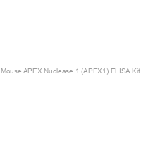 Mouse APEX Nuclease 1 (APEX1) ELISA Kit